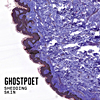 CD Tipp des Monats: Ghostpoet - Shedding Skin (Ejimiwe alias Ghostpoet hat sein eigenes Feld bestellt und beackert es auf diesen zehn neuen Tracks allenfalls mit einem erweiterten Fokus, beobachtend, reflektierend mit diesem weichen, fließenden Sprechgesang. Das Album entstand mit Ejimiwes Live-Band und einer Schar von prominenten Gastvokalisten, im Studio waren u.a. die belgische Jazzsängerin Mélanie De  Biasio und Paul Smith von Maxïmo Park. Beides kommt dem Sound von Ghostpoet deutlich zugute. So organisch klang die Musik des Briten nigerianischer und  dominikanischer Abstammung selten, die Farben der Stimmen lassen den Soul-Jazz in seinem elektronischen Futteral richtig schillern! Quelle: Musikexpress)