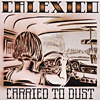 Rock CD Tipp des Monats: Calexico - Carried to dust (Sanft weht die Mariachi Trompete den Wüstenstaub vor sich her bis dann Joey Burns Stimme fast flüsternt den Raum erfüllt und cineastische Landschaften zeichnet. Schlicht großartig!)